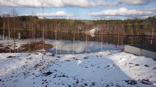 20160309 Rast i Sverige.jpg