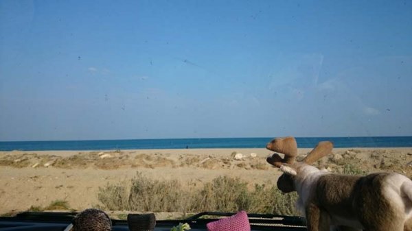 20160313 Vy från husbilen.jpg