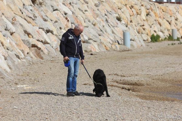 20160317 Lasse o Ozzie.jpg