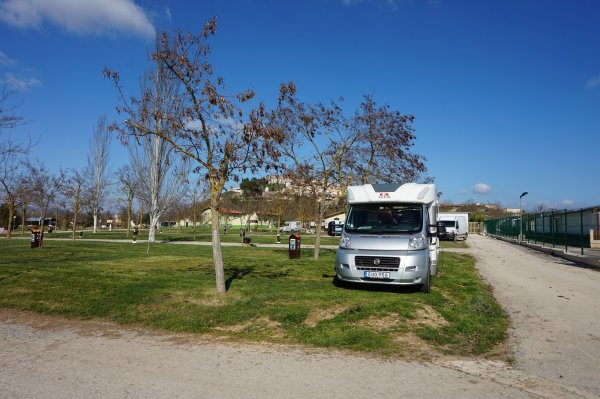 blåbär_82.jpg blåbär_82.jpg