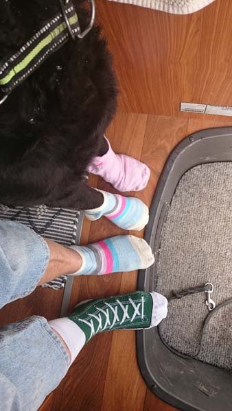 20160321 2 Rocka sockorna.jpg