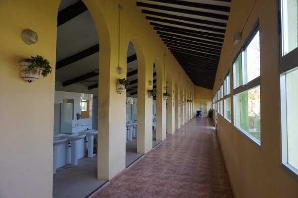 blåbär_85.jpg blåbär_85.jpg