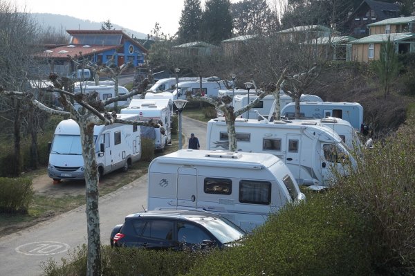 blåbär_86.jpg blåbär_86.jpg