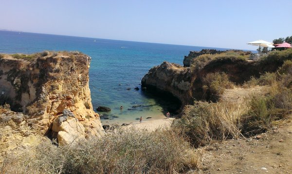 IMAG0538.jpg