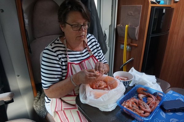 blåbär_87.jpg blåbär_87.jpg