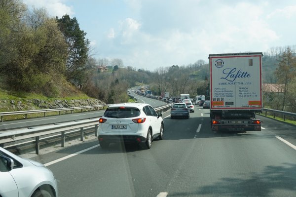 blåbär_88.jpg blåbär_88.jpg