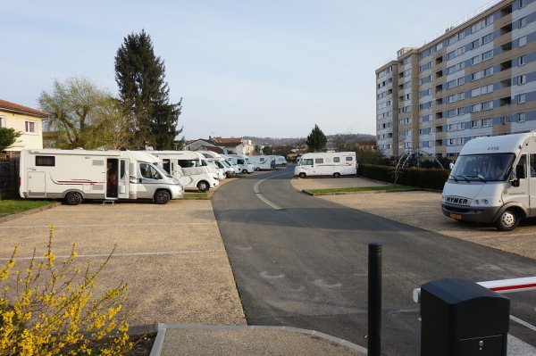 blåbär_89.jpg blåbär_89.jpg