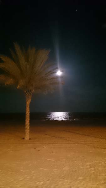 20160323 2 Månen.jpg