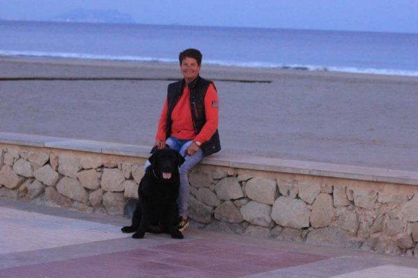 20160324 4 Ozzie o jag.jpg