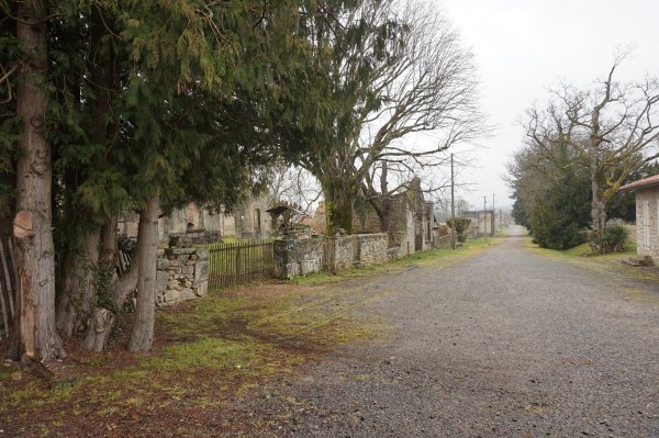 blåbär_93.jpg blåbär_93.jpg