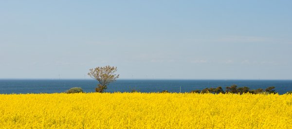 Öland 30.JPG