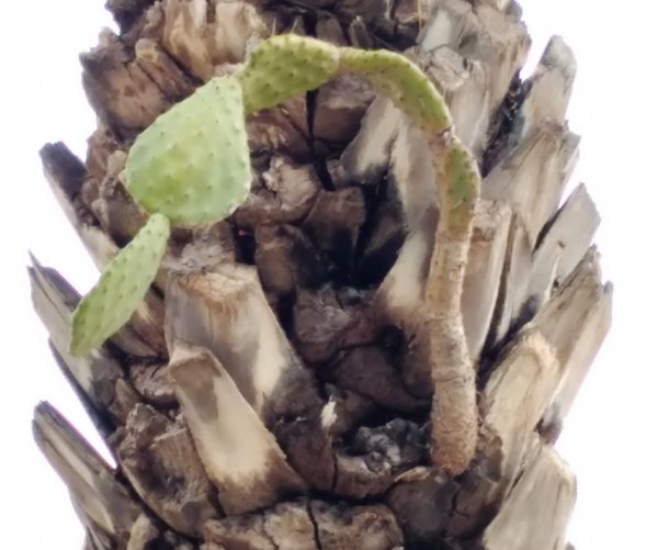 2016-03-27 15.31.44.jpg 2016-03-27 15.31.44.jpg