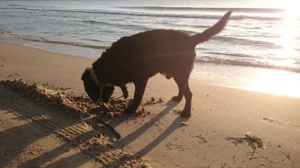 20160328 Morgontur.jpg