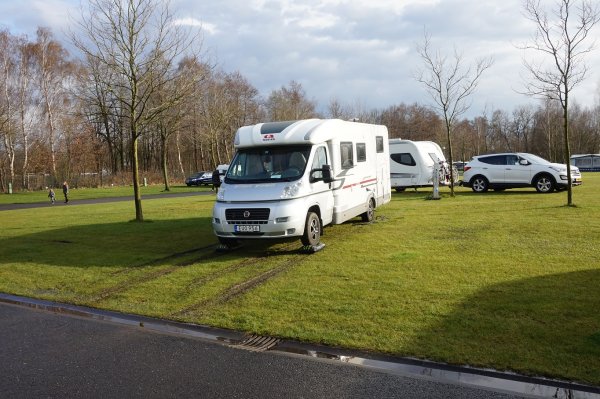 blåbär_104.jpg blåbär_104.jpg