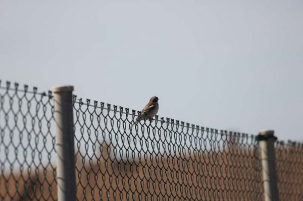 20160331 1 Litet flyg.jpg