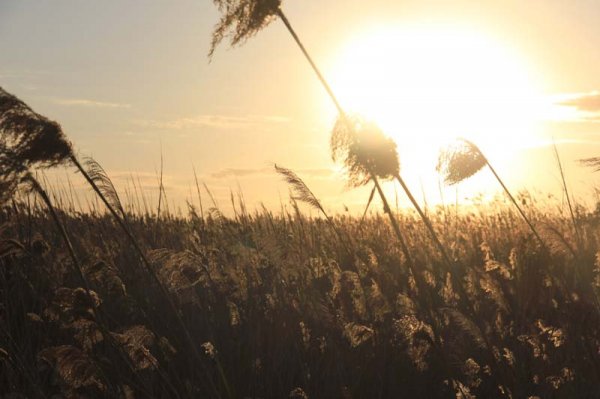 20160331 11 Solnedgång.jpg