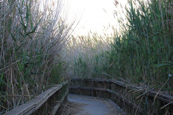 20160331 14 Spångarna.jpg