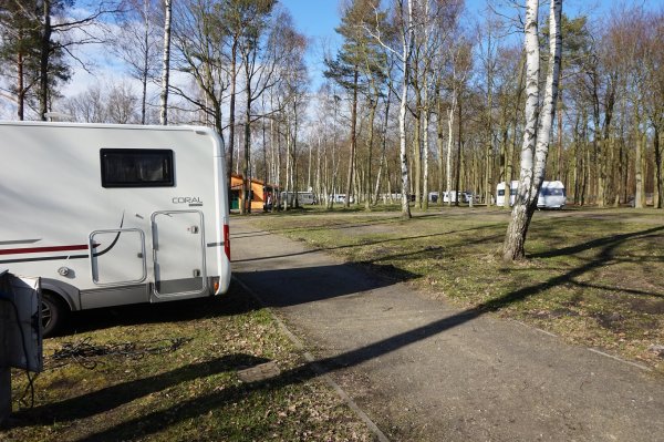 blåbär_108.jpg blåbär_108.jpg