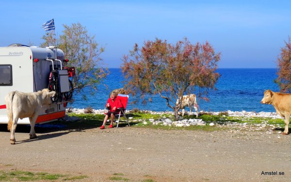 Kalaset på DirosBeach03.JPG