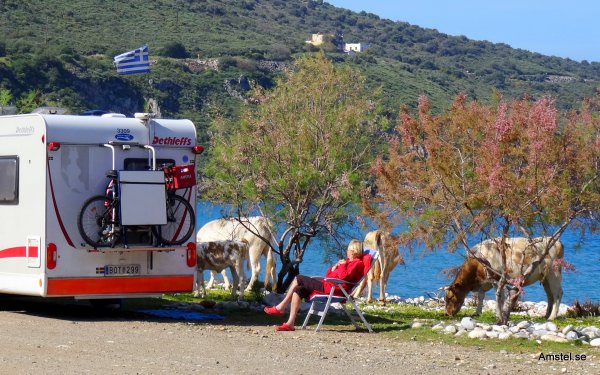 Kalaset på DirosBeach04.JPG