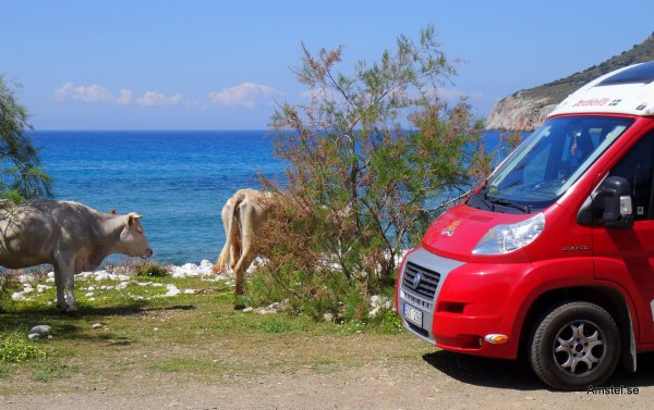 Kalaset på DirosBeach06.JPG