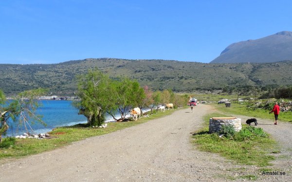 Kalaset på DirosBeach10.JPG