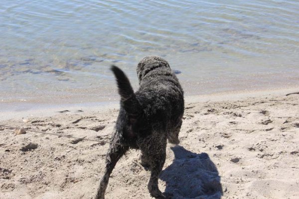 20160401 1 Badat.jpg