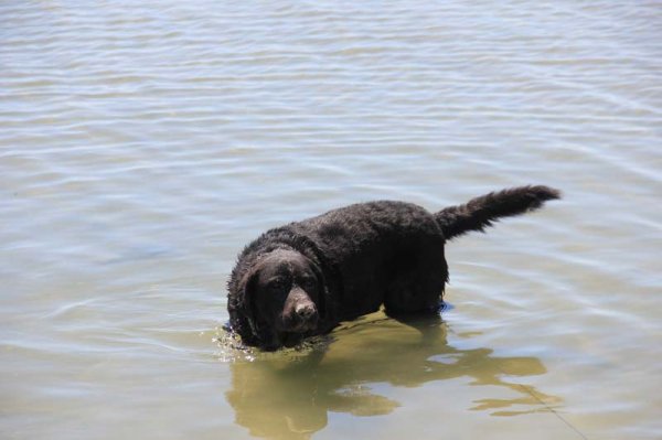 20160401 2 Badar igen.jpg