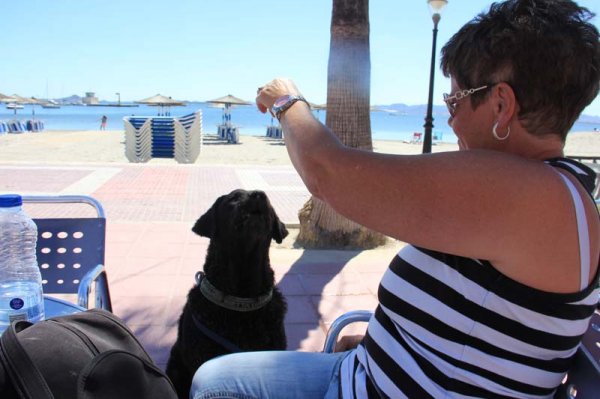 20160401 4 Glass.jpg