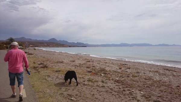 20160403 1 Morgonpromenad.jpg