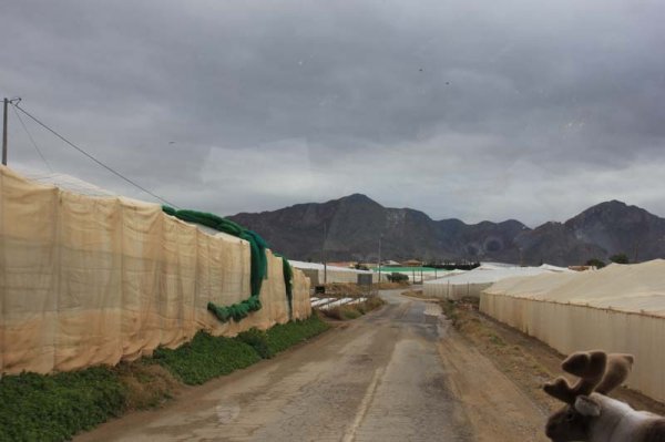 20160406 Odlingar.jpg