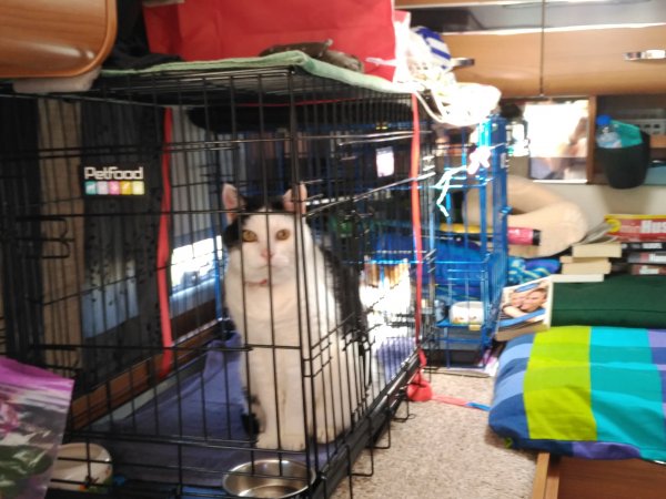 2016-04-14 12.56.32.jpg