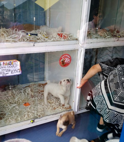 2016-04-15 17.26.56.jpg