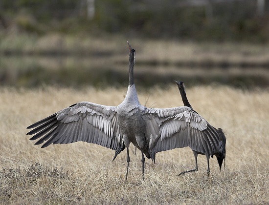 IMG_5264-01.jpg IMG_5264-01.jpg