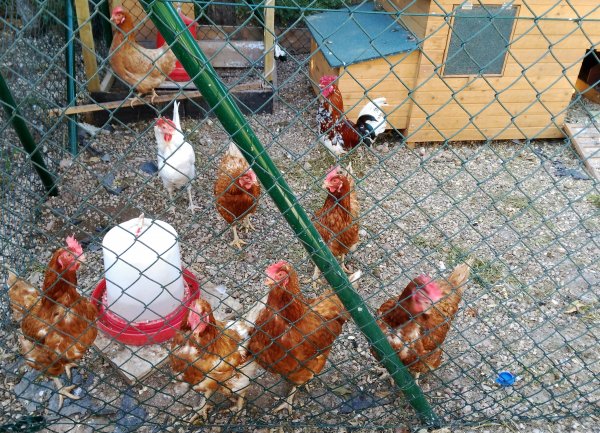 2016-04-21 18.18.20.jpg