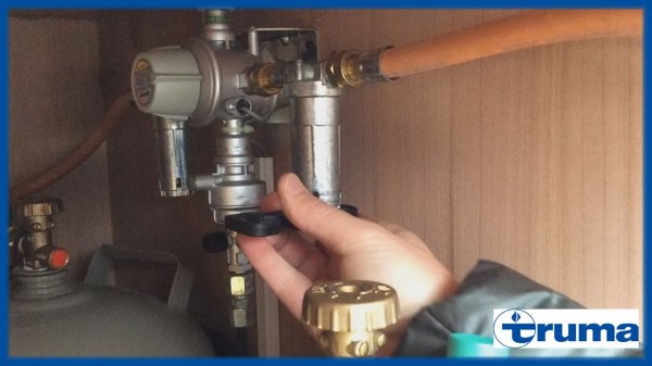 image.jpeg image.jpeg