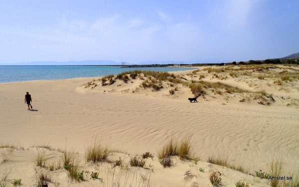 1615-008.JPG 1615-008.JPG