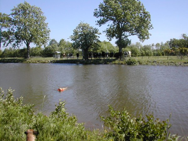 Göta Kanal 060610 005.jpg