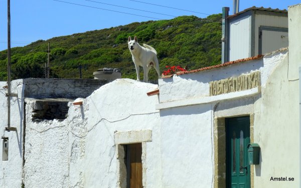 1615-024.JPG 1615-024.JPG