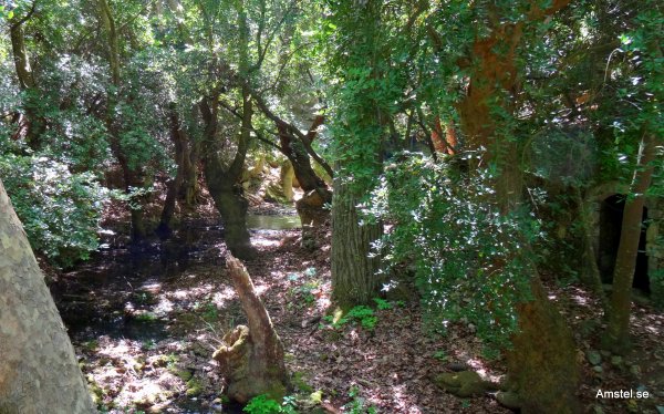 1615-027.JPG 1615-027.JPG