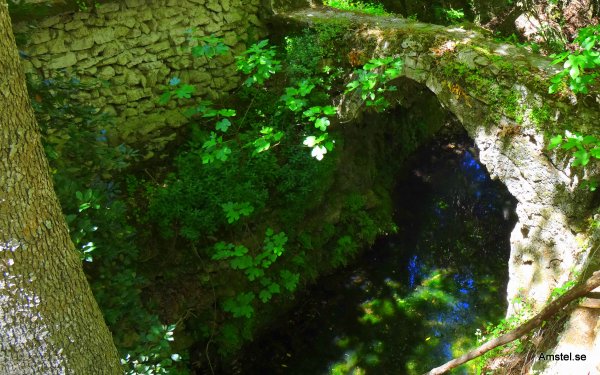 1615-028.JPG 1615-028.JPG