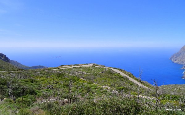 1615-029.JPG 1615-029.JPG