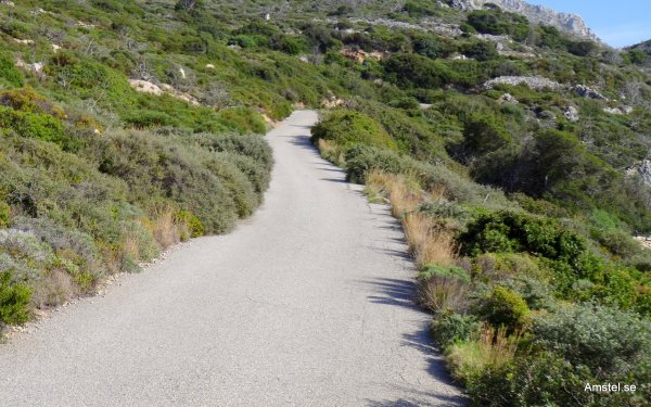 1615-030.JPG 1615-030.JPG