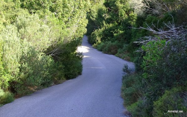 1615-031.JPG 1615-031.JPG