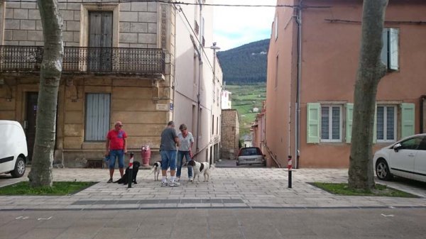 20160419 1 Millau.jpg 20160419 1 Millau.jpg