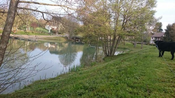 20160421 3 Nolay.jpg 20160421 3 Nolay.jpg