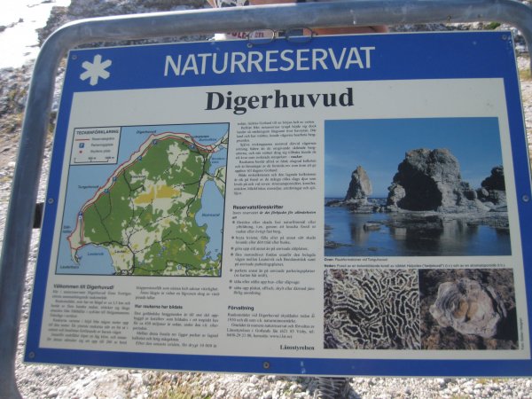 semester 2009 085.jpg