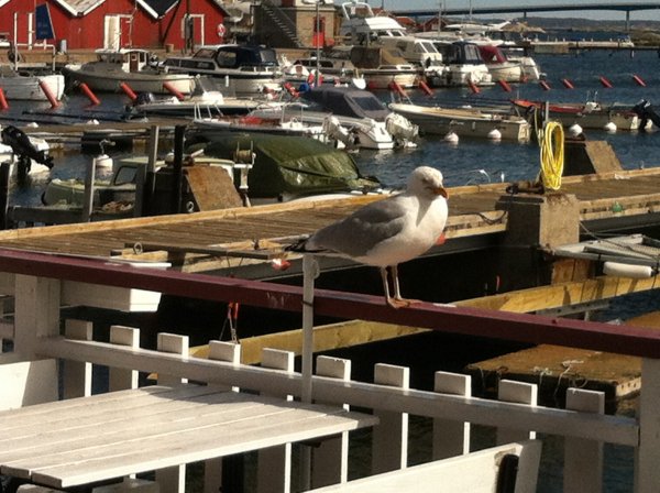 2016-05-02 15.06.02.jpg 2016-05-02 15.06.02.jpg