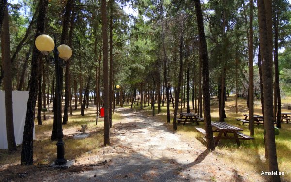 1616-24.JPG 1616-24.JPG