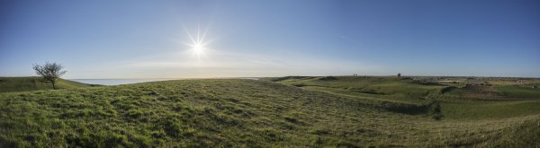 20160505-051 8bit_stitch.jpg